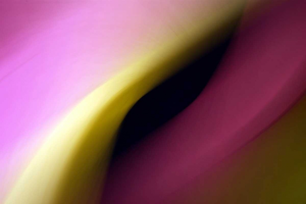 Twisted Beams I art print by Douglas Taylor for $57.95 CAD