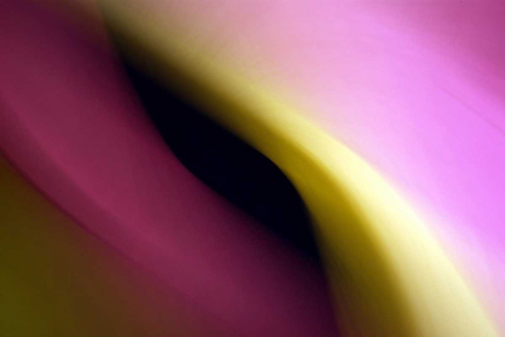 Twisted Beams II art print by Douglas Taylor for $57.95 CAD