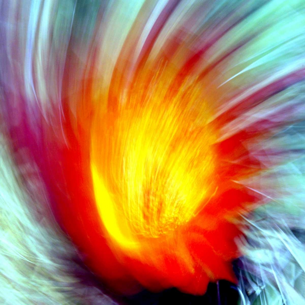 Cactus Fire art print by Douglas Taylor for $57.95 CAD