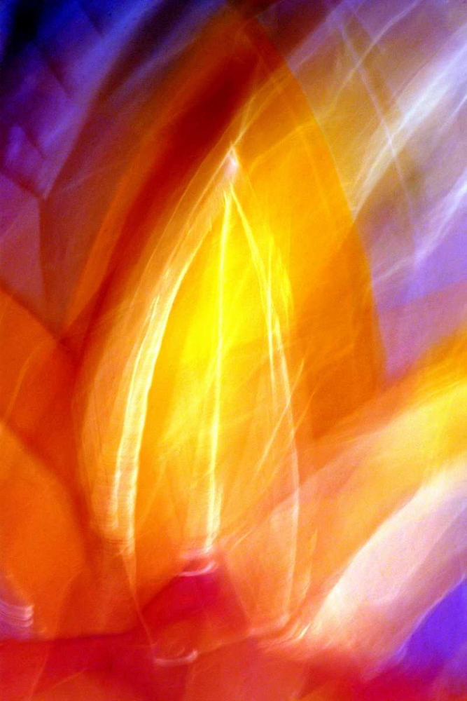 Incandescence art print by Douglas Taylor for $57.95 CAD