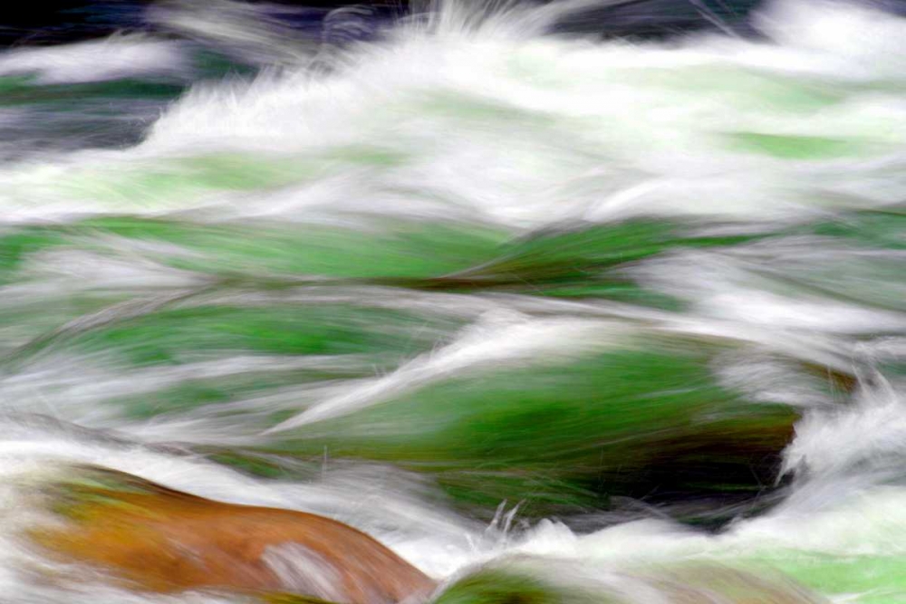 River Rapids art print by Douglas Taylor for $57.95 CAD
