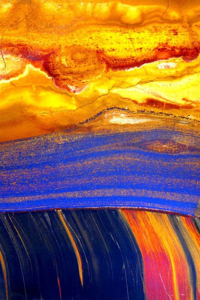 Archaea art print by Douglas Taylor for $57.95 CAD