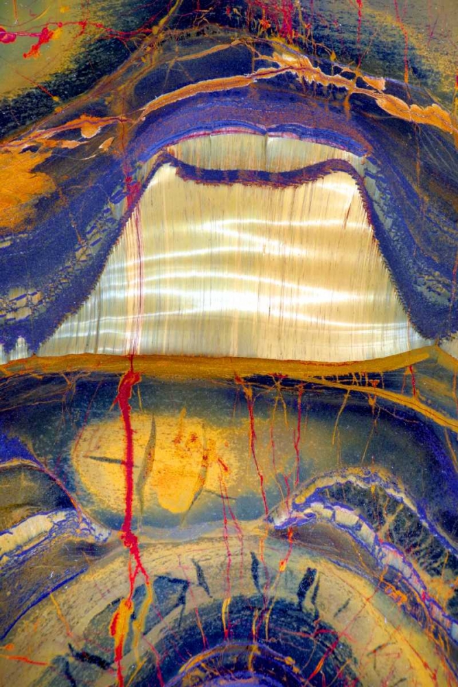 Tiger Eye art print by Douglas Taylor for $57.95 CAD