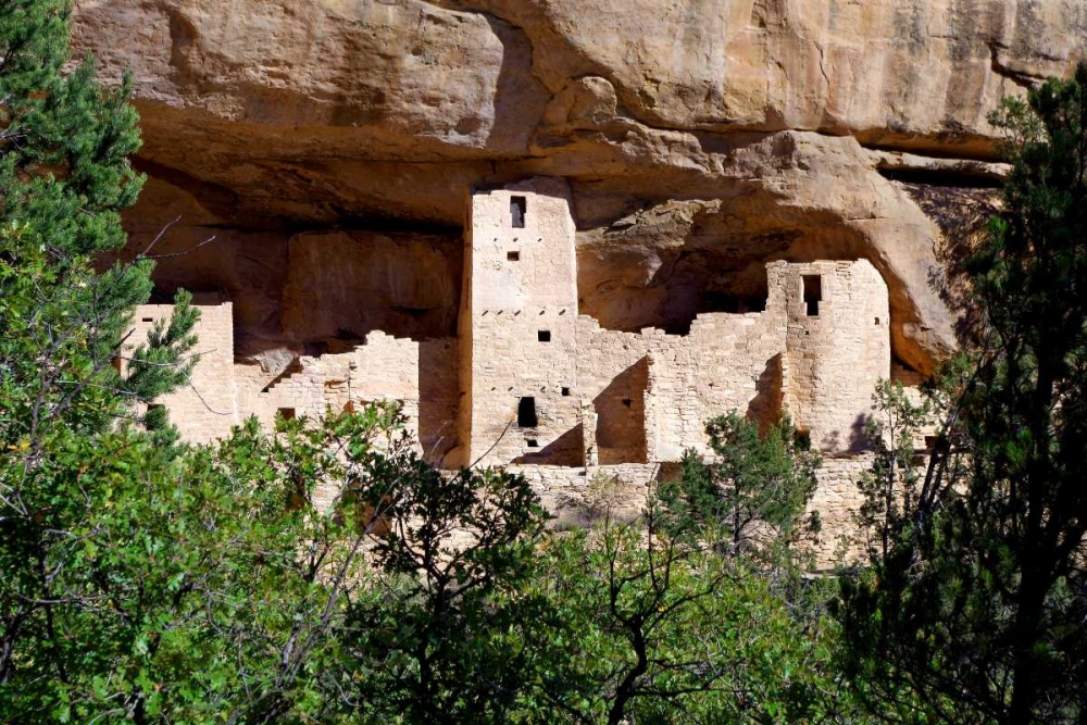 Cliff Dwelling At Mesa Verde art print by Douglas Taylor for $57.95 CAD