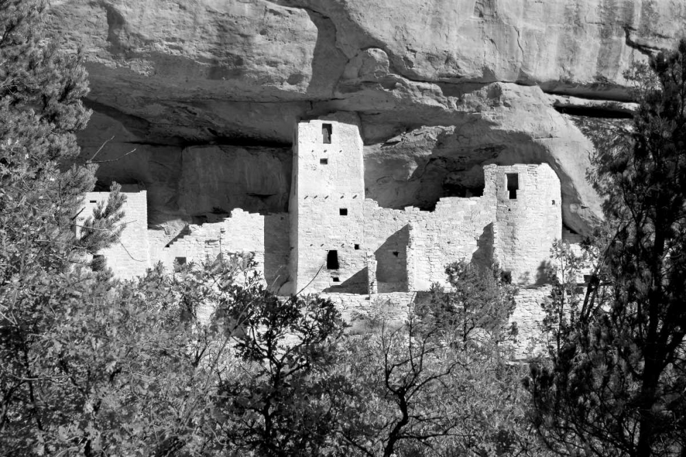 Cliff Dwelling At Mesa Verde BW art print by Douglas Taylor for $57.95 CAD