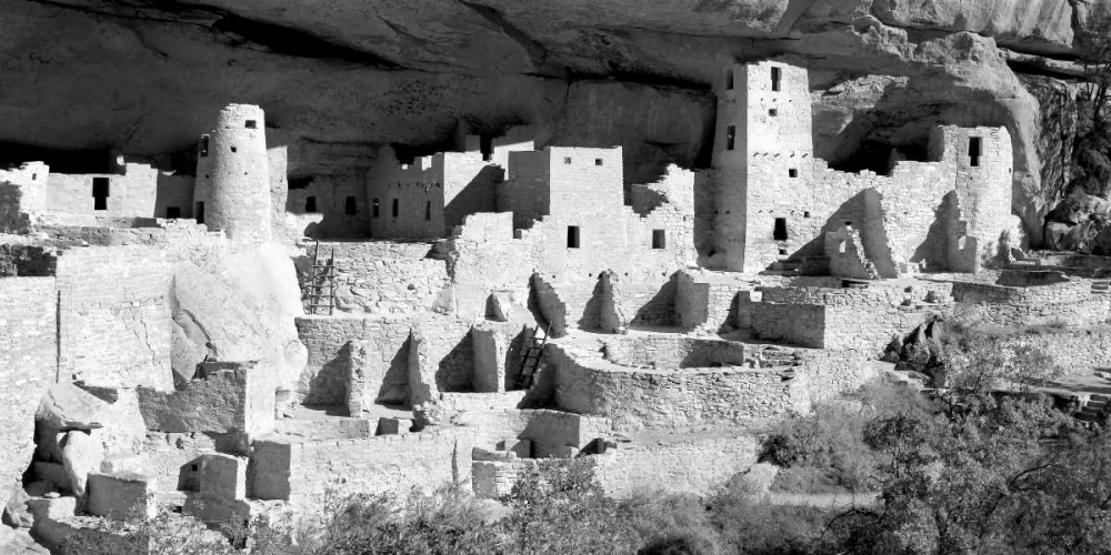 Cliff Palace at Mesa Verde BW art print by Douglas Taylor for $57.95 CAD