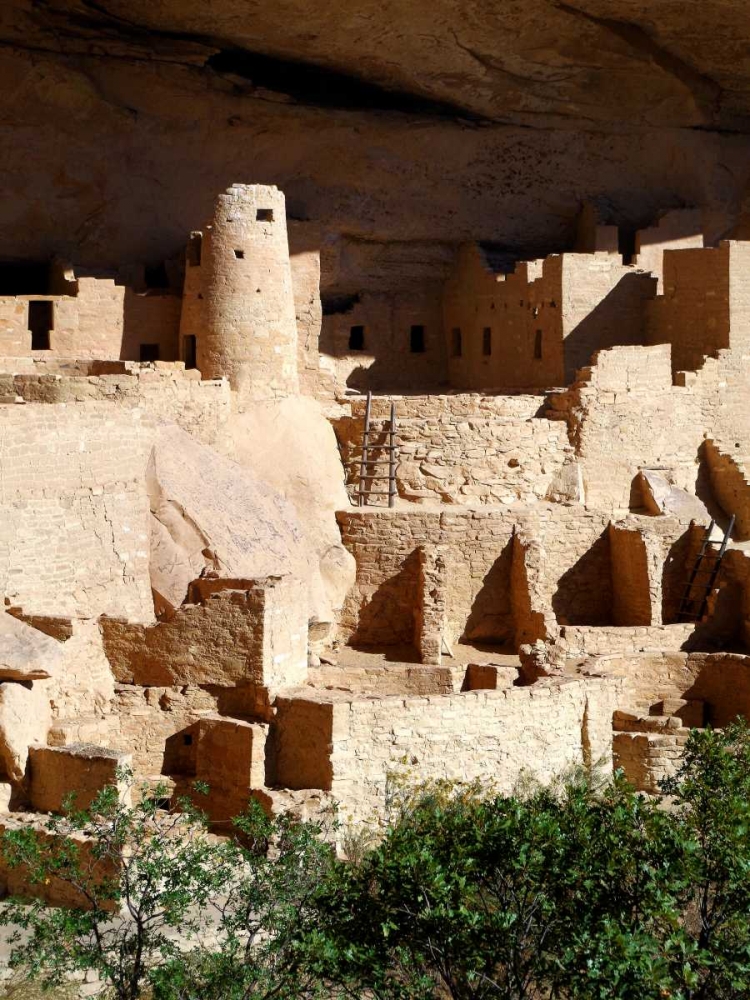 Cliff Palace Pueblo Portrait art print by Douglas Taylor for $57.95 CAD