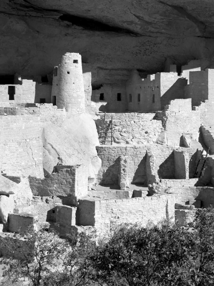 Cliff Palace Pueblo Portrait BW art print by Douglas Taylor for $57.95 CAD
