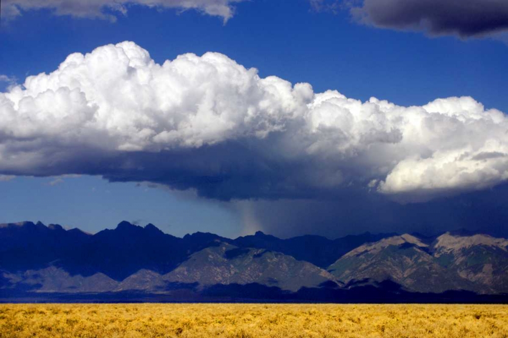 Cool Colorado Rain art print by Douglas Taylor for $57.95 CAD