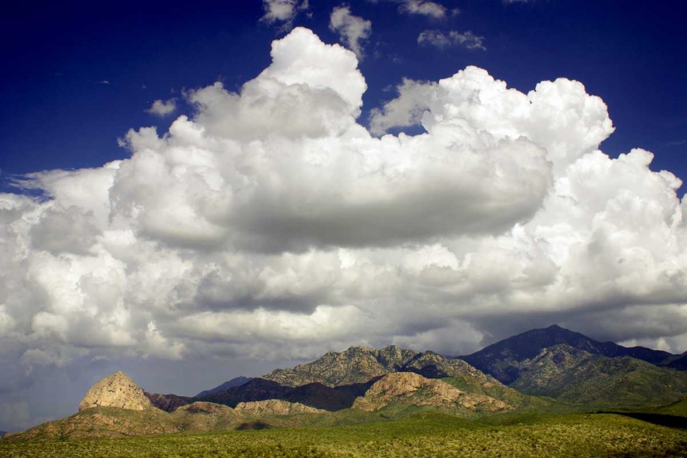 Santa Rita Mountains in August art print by Douglas Taylor for $57.95 CAD