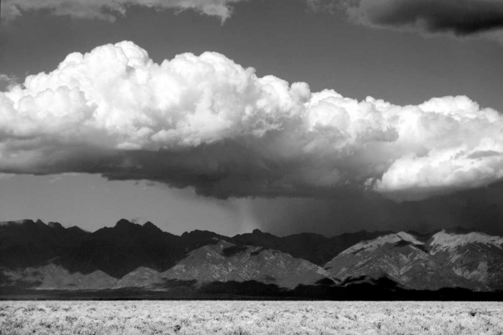 Cool Colorado Rain BW art print by Douglas Taylor for $57.95 CAD
