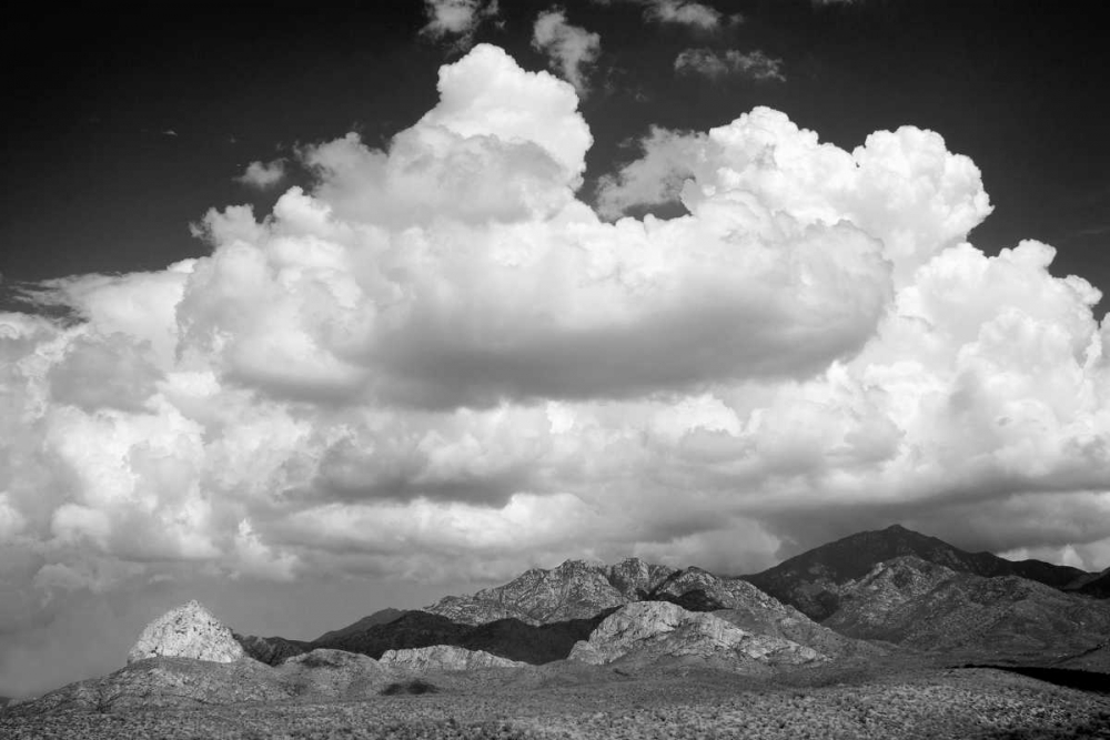 Santa Rita Mountains in August BW art print by Douglas Taylor for $57.95 CAD