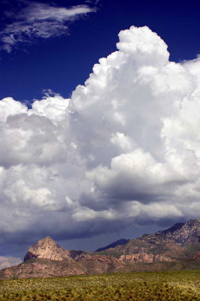 Gathering Summer Storm art print by Douglas Taylor for $57.95 CAD