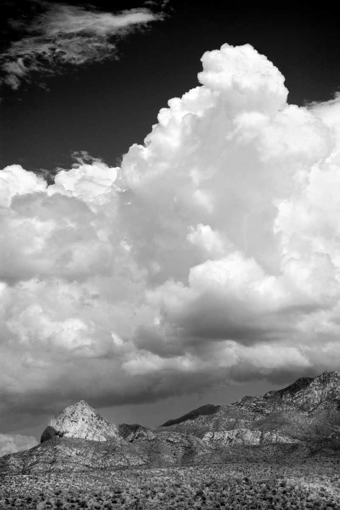 Gathering Summer Storm BW art print by Douglas Taylor for $57.95 CAD