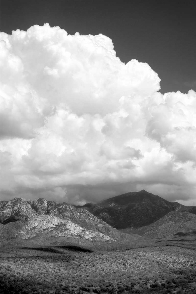The Coming Storm BW art print by Douglas Taylor for $57.95 CAD