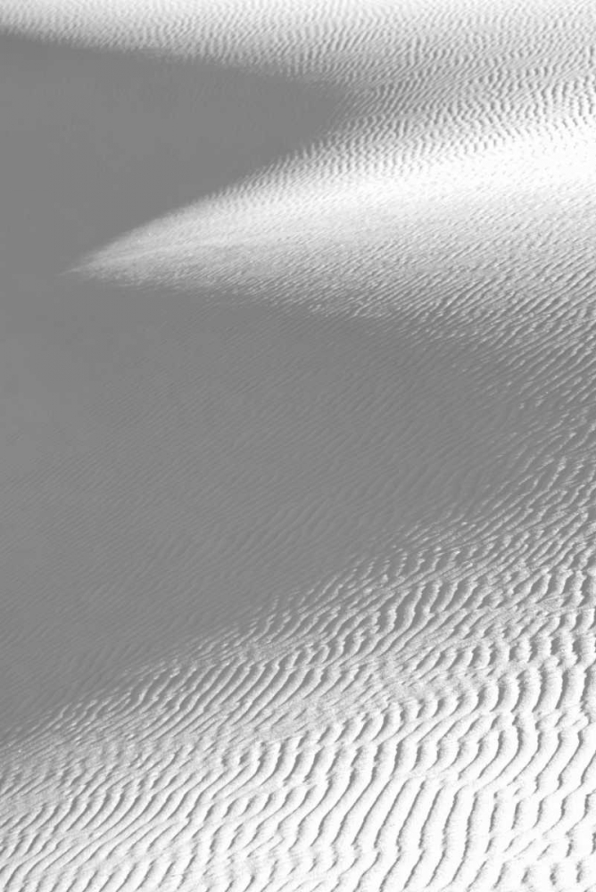 White Sand Dune and Shadow art print by Douglas Taylor for $57.95 CAD