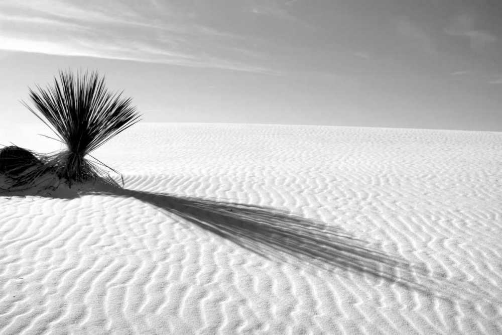 Shadows in the Sand I art print by Douglas Taylor for $57.95 CAD