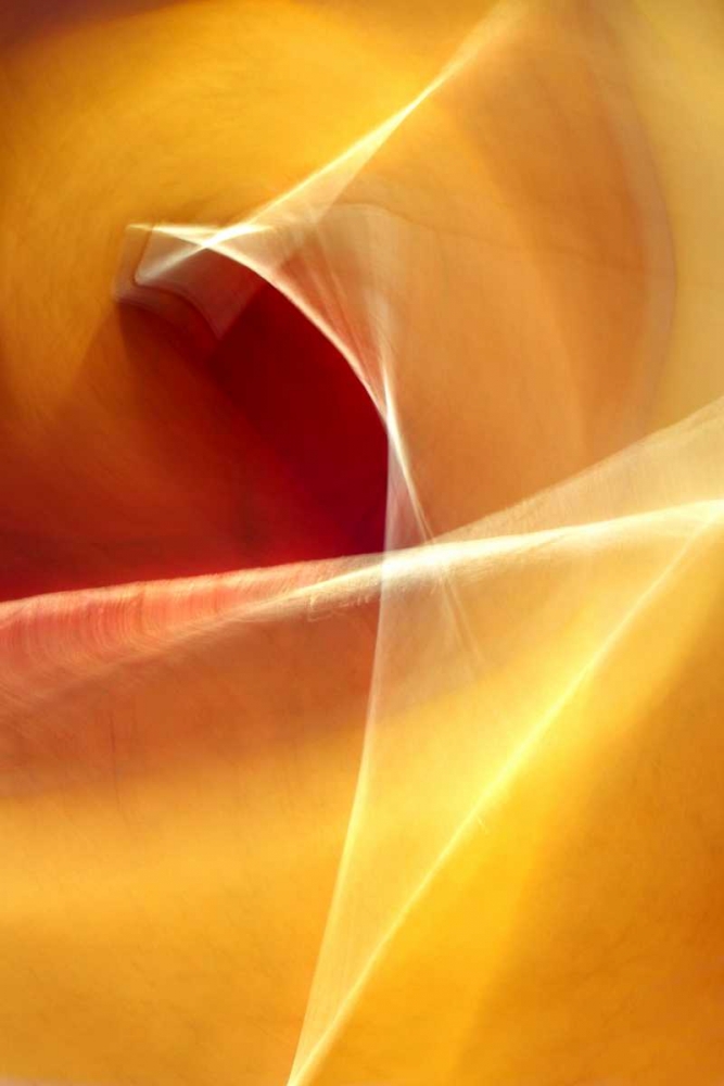 Ballet of Light art print by Douglas Taylor for $57.95 CAD
