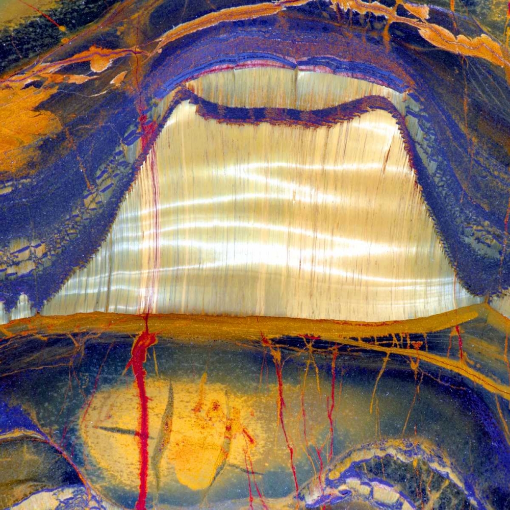 Tiger Eye Sq art print by Douglas Taylor for $57.95 CAD