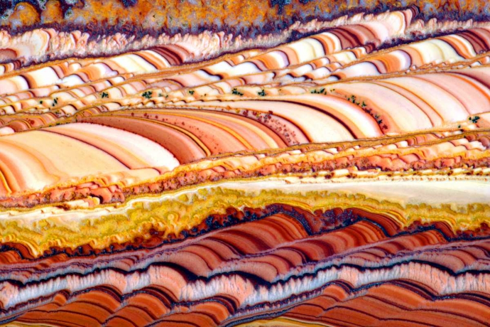 Dolomite Fields art print by Douglas Taylor for $57.95 CAD