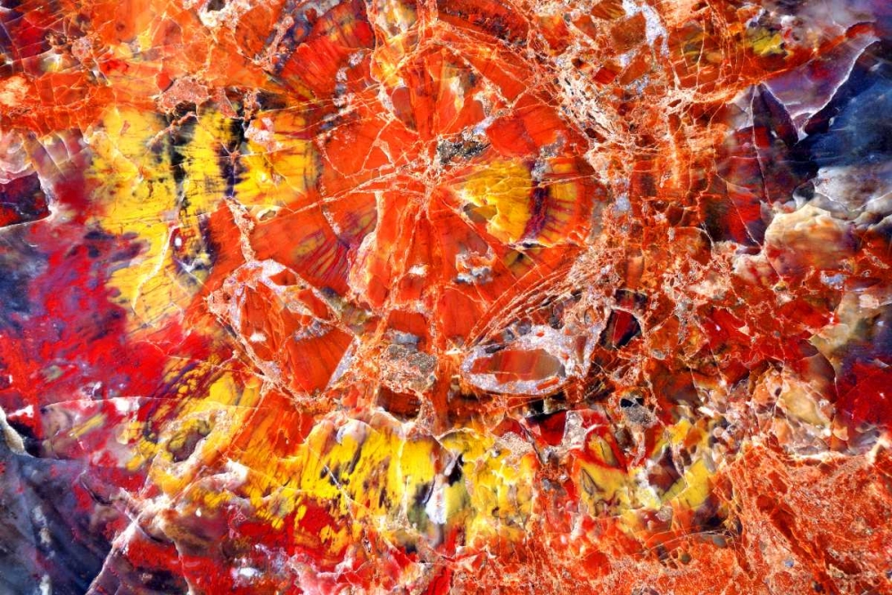 Kaleidoscope of Minerals art print by Douglas Taylor for $57.95 CAD