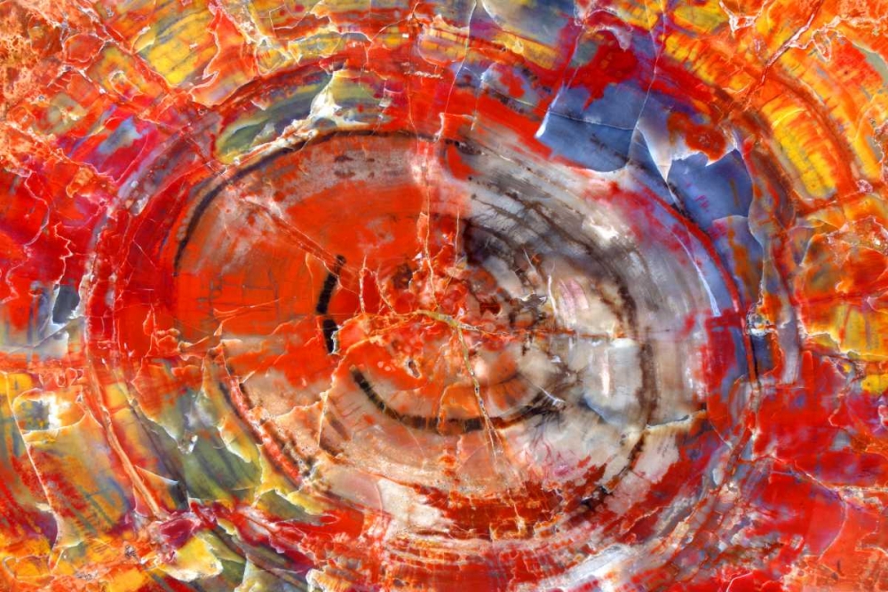 Minerals in Wood art print by Douglas Taylor for $57.95 CAD