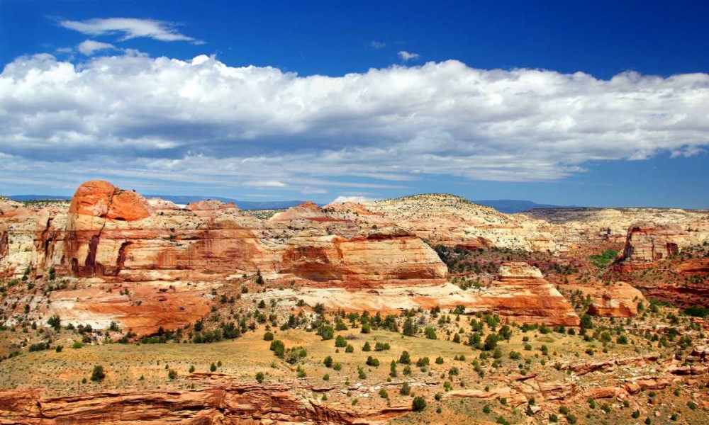 Slickrock County art print by Douglas Taylor for $57.95 CAD