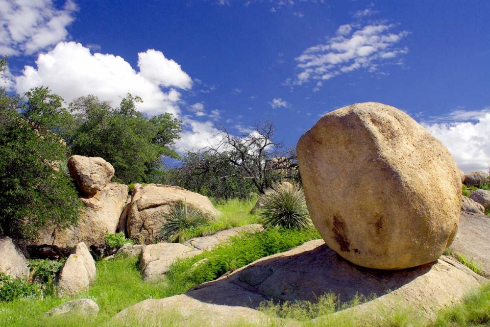 Texas Canyon Rocks I art print by Douglas Taylor for $57.95 CAD