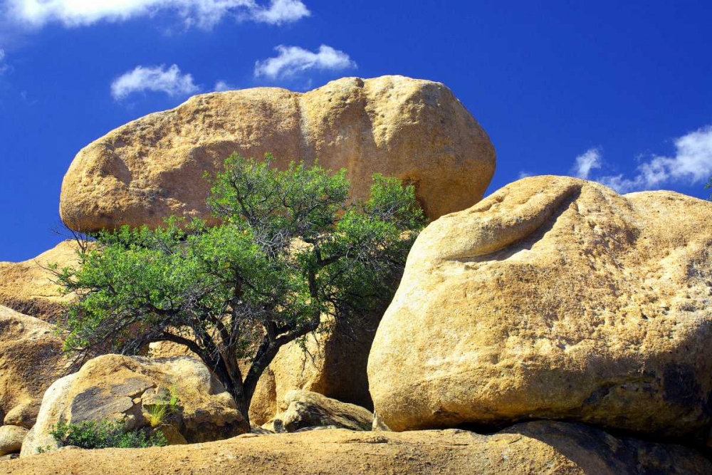 Texas Canyon Rocks II art print by Douglas Taylor for $57.95 CAD