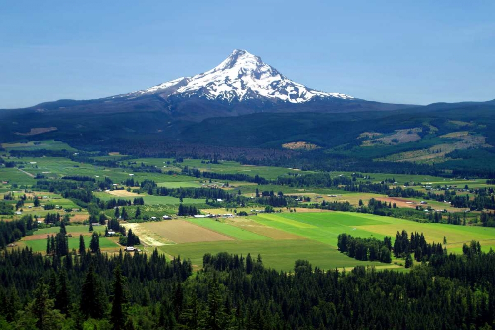 Hood River art print by Douglas Taylor for $57.95 CAD