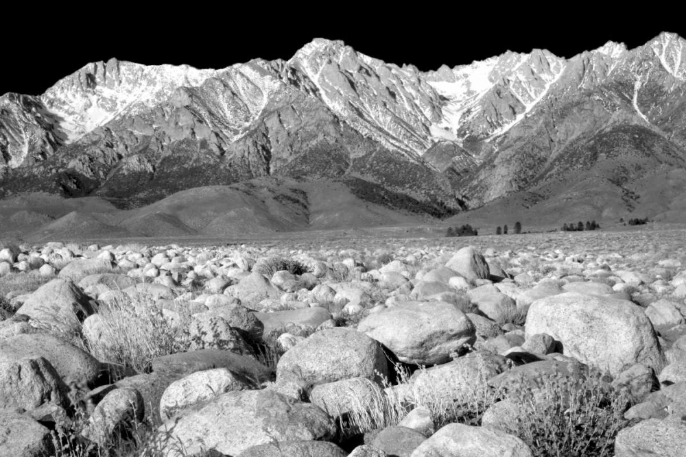 Independence Morning BW art print by Douglas Taylor for $57.95 CAD