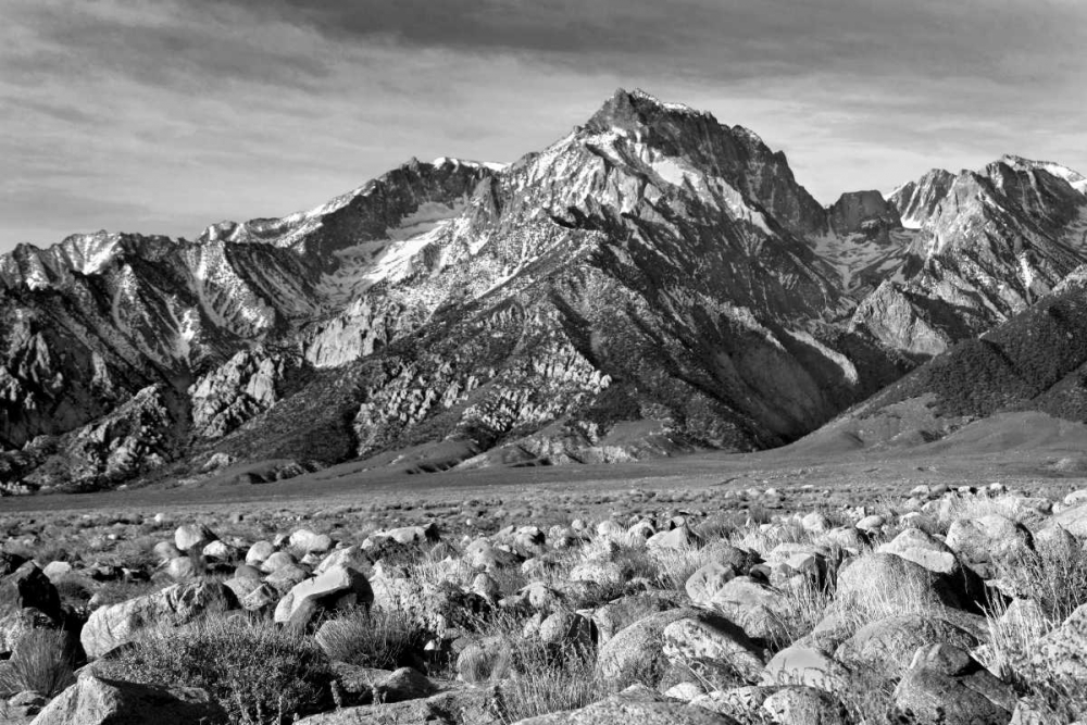 Mt. Williamson II BW art print by Douglas Taylor for $57.95 CAD