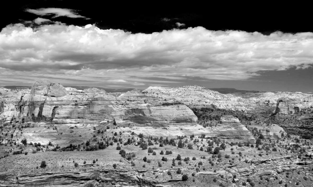 Slick Rock County BW art print by Douglas Taylor for $57.95 CAD