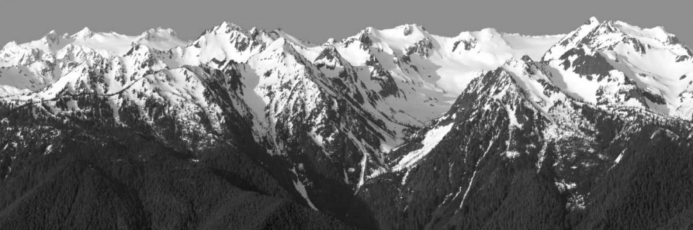 Hurricane Ridge Morning art print by Douglas Taylor for $57.95 CAD
