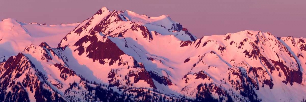 Alpenglow on Olympic Mountains art print by Douglas Taylor for $57.95 CAD