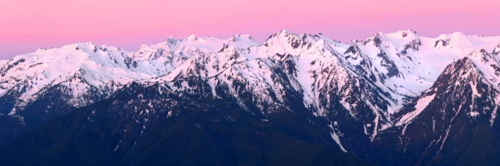 Dawn at Hurricane Ridge art print by Douglas Taylor for $57.95 CAD
