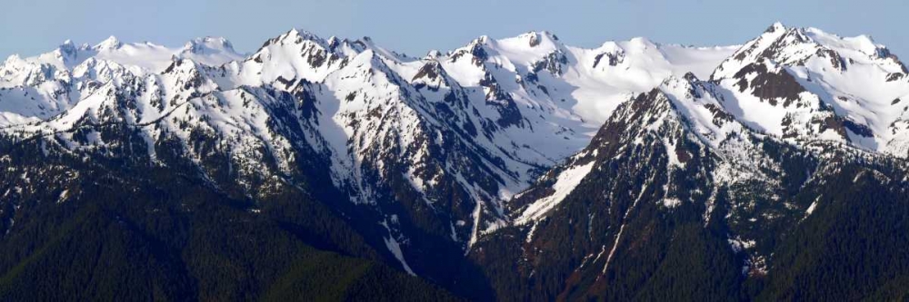 Morning at Hurricane Ridge art print by Douglas Taylor for $57.95 CAD
