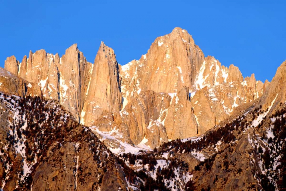 Mt. Whitney Morning Light art print by Douglas Taylor for $57.95 CAD