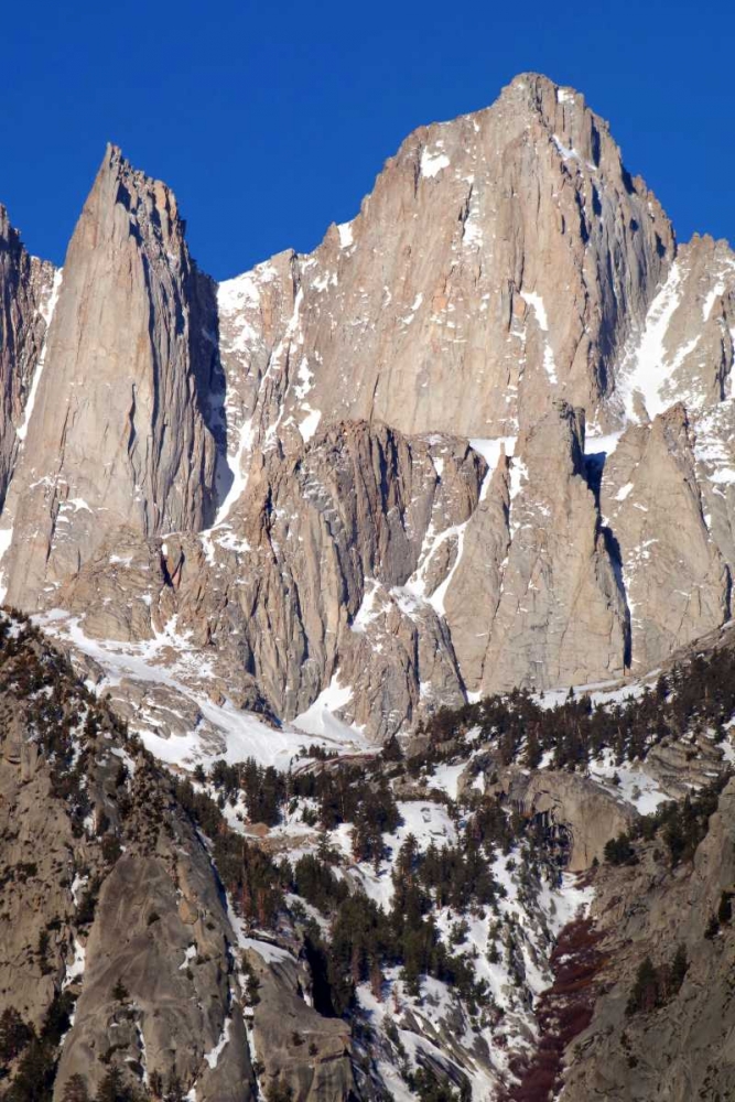 Mt. Whitney Portrait I art print by Douglas Taylor for $57.95 CAD