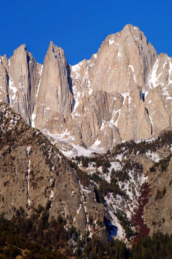 Mt. Whitney Portrait II art print by Douglas Taylor for $57.95 CAD