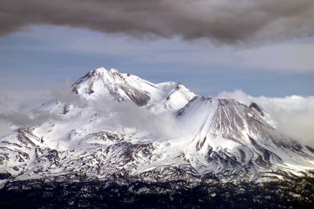 Mt. Shasta Winter art print by Douglas Taylor for $57.95 CAD
