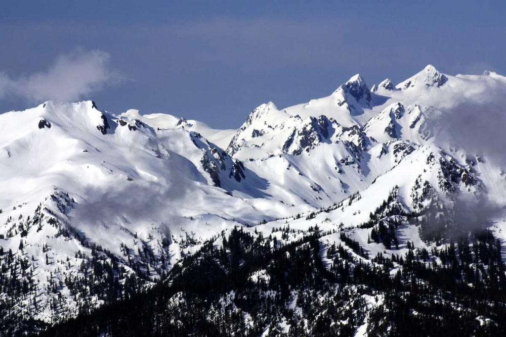 Snowy Olympic Mountains art print by Douglas Taylor for $57.95 CAD