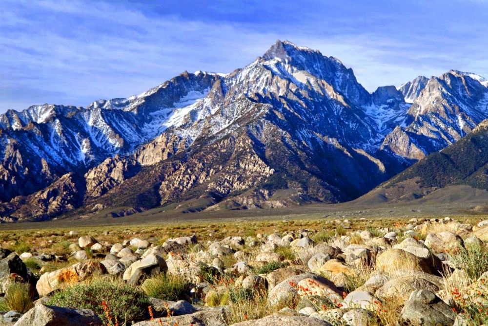 Mt. Williamson II art print by Douglas Taylor for $57.95 CAD