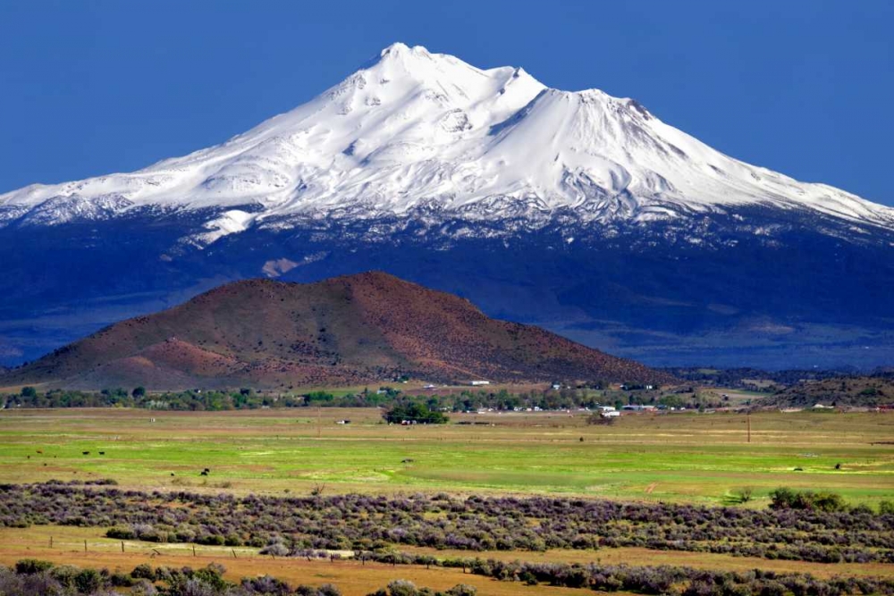 Shasta County Spring art print by Douglas Taylor for $57.95 CAD