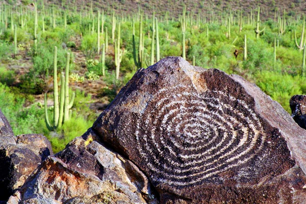 Hohokam Petroglyph art print by Douglas Taylor for $57.95 CAD