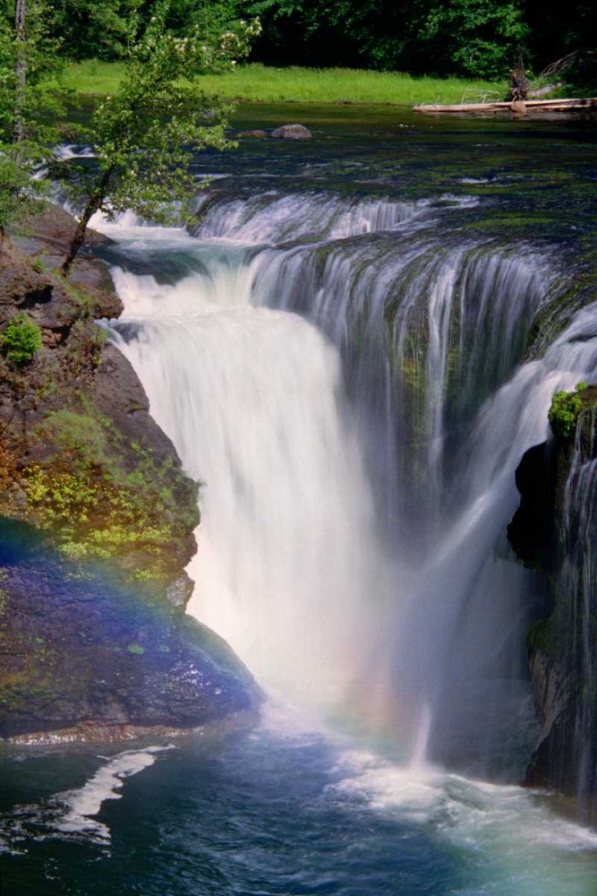 Lewis River Falls art print by Douglas Taylor for $57.95 CAD