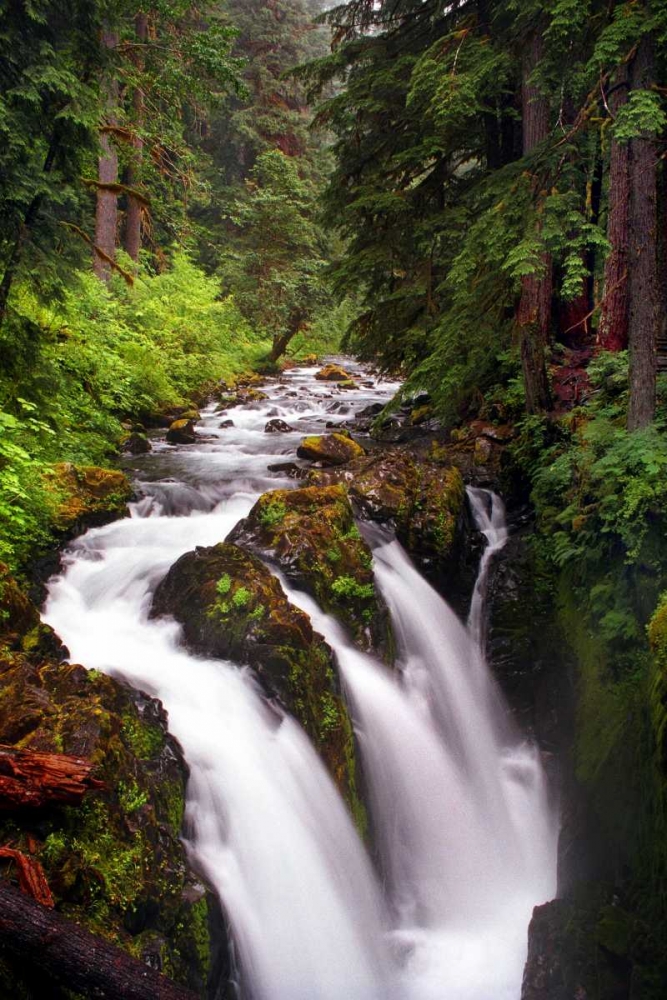 Sol Duc River Falls art print by Douglas Taylor for $57.95 CAD