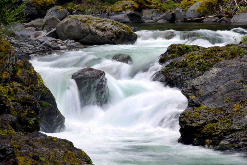 Salmon Cascades art print by Douglas Taylor for $57.95 CAD