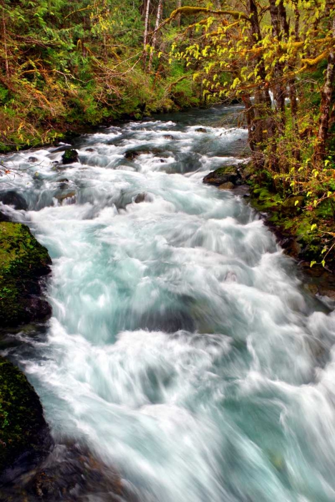 Hamma Hamma River art print by Douglas Taylor for $57.95 CAD
