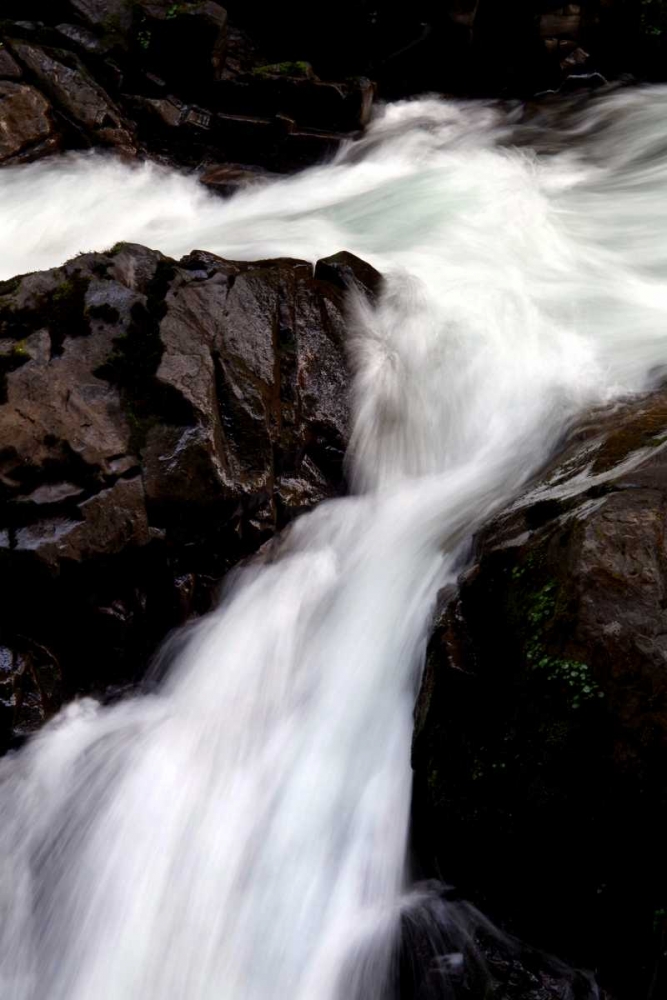 Sol Duc Falls II art print by Douglas Taylor for $57.95 CAD